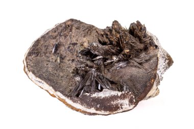 Beyaz arka plan üzerinde makro taş Vivianite mineral 