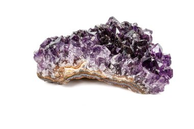 Ametist Crystal Druse makro mineral beyaz arka plan üzerinde Kapat