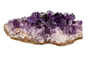 Ametist Crystal Druse makro mineral beyaz arka plan üzerinde 
