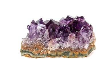Ametist Crystal Druse makro mineral beyaz arka plan üzerinde 