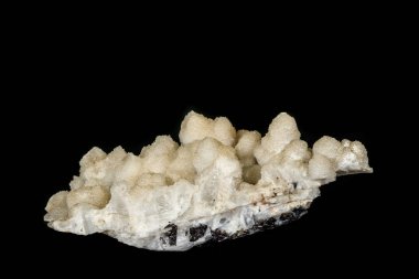 İki genirats siyah bir arka plan üzerinde makro mineral kuvars taşı