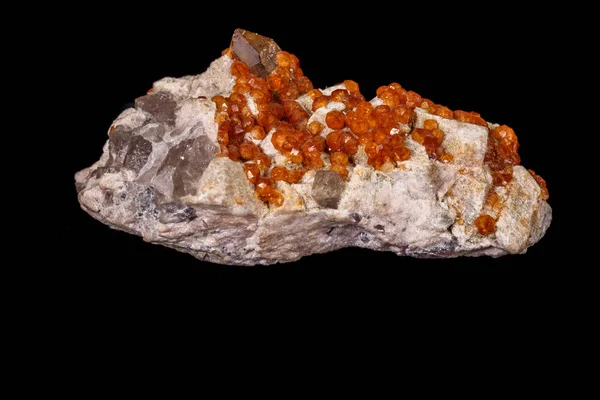 Macro mineral stone Grossular, Garnet, Epidote on a black backgr — Stock Photo, Image