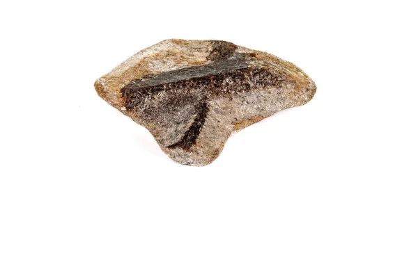 宏观矿物石头 Staurolite 在白色背景 — 图库照片