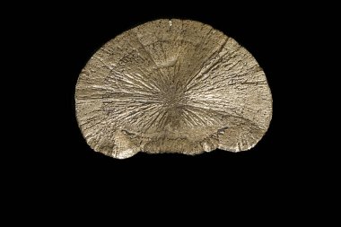 Makro mineral taş pirit siyah bir zemin üzerine