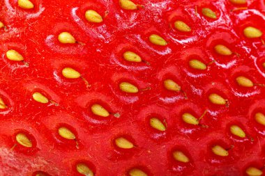 beyaz bir arka plan üzerinde güzel ve olgun kırmızı çilek 