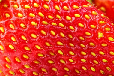 beyaz bir arka plan üzerinde güzel ve olgun kırmızı çilek 