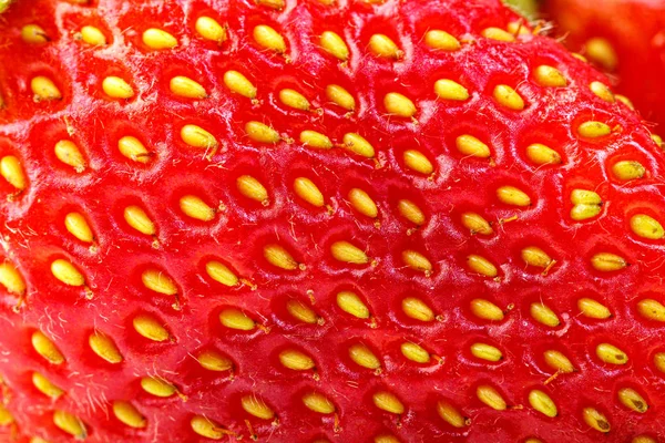 beyaz bir arka plan üzerinde güzel ve olgun kırmızı çilek 