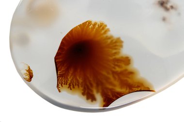 beyaz arka plan yakın çekim makro mineral taş Agata muschiata