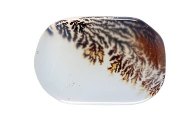 beyaz arka plan yakın çekim makro mineral taş Agata muschiata