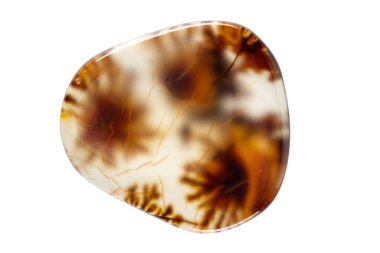 beyaz arka plan yakın çekim makro mineral taş Agata muschiata