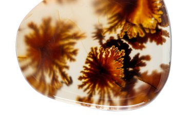 beyaz arka plan yakın çekim makro mineral taş Agata muschiata