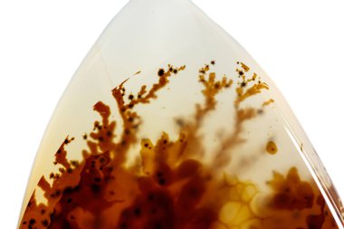 beyaz arka plan yakın çekim makro mineral taş Agata muschiata