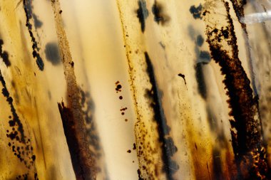 beyaz arka plan yakın çekim makro mineral taş Agata muschiata