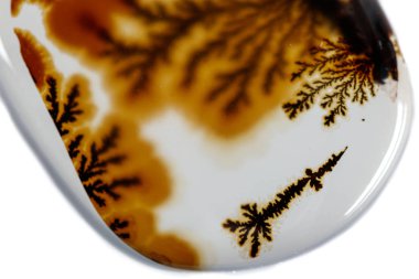 beyaz arka plan yakın çekim makro mineral taş Agata muschiata