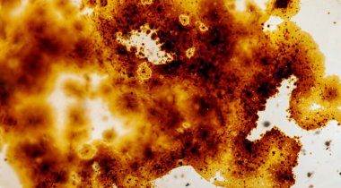 beyaz arka plan yakın çekim makro mineral taş Agata muschiata