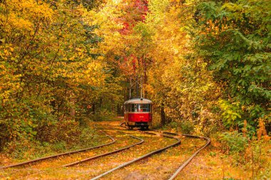 Eski bir tramvayın geçtiği sonbahar ormanı (Ukrayna)