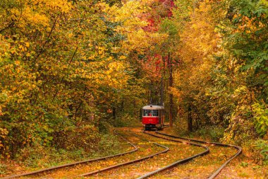 Eski bir tramvayın geçtiği sonbahar ormanı (Ukrayna)