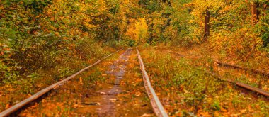 Eski bir tramvayın geçtiği sonbahar ormanı (Ukrayna)