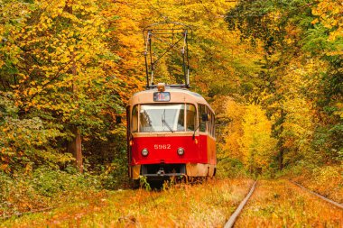 Eski bir tramvayın geçtiği sonbahar ormanı (Ukrayna)