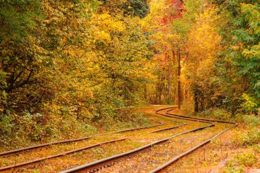 Eski bir tramvayın geçtiği sonbahar ormanı (Ukrayna)