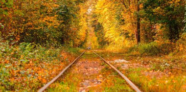 Eski bir tramvayın geçtiği sonbahar ormanı (Ukrayna)