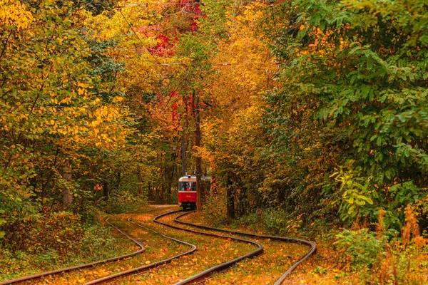 Autumn forest through which an old tram rides (Ukraine) — Stock Photo, Image