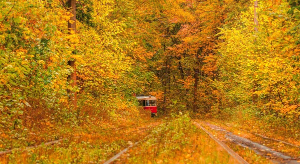 Autumn forest through which an old tram rides (Ukraine) — Stock Photo, Image