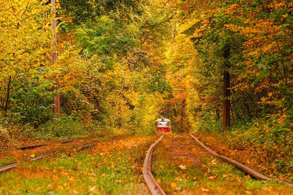 Floresta de outono através da qual um velho eléctrico passeios (Ucrânia ) — Fotografia de Stock