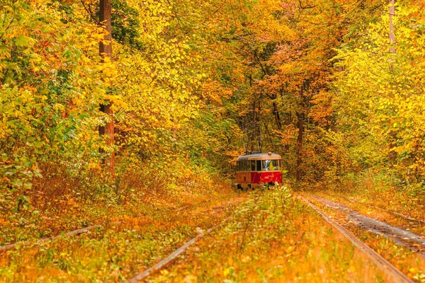 Autumn forest through which an old tram rides (Ukraine) — Stock Photo, Image