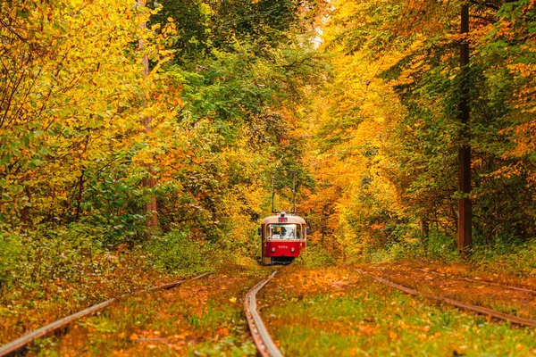 Autumn forest through which an old tram rides (Ukraine) — Stock Photo, Image