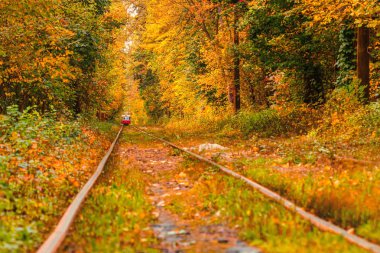 Eski bir tramvayın geçtiği sonbahar ormanı (Ukrayna)