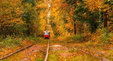 Eski bir tramvayın geçtiği sonbahar ormanı (Ukrayna)