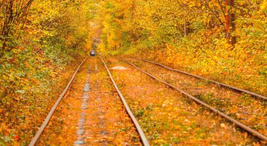 Eski bir tramvayın geçtiği sonbahar ormanı (Ukrayna)