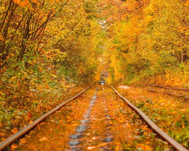 Eski bir tramvayın geçtiği sonbahar ormanı (Ukrayna)