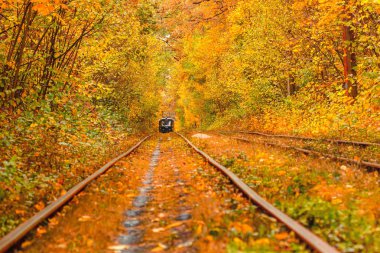 Eski bir tramvayın geçtiği sonbahar ormanı (Ukrayna)