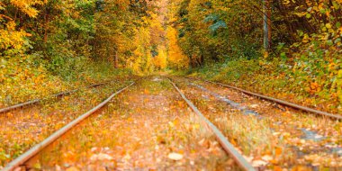 Eski bir tramvayın geçtiği sonbahar ormanı (Ukrayna)