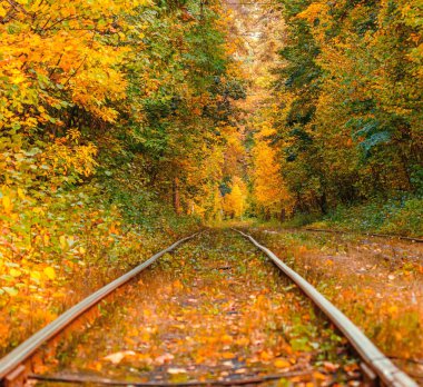 Eski bir tramvayın geçtiği sonbahar ormanı (Ukrayna)