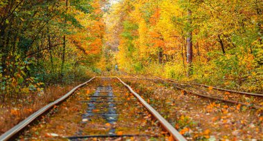 Eski bir tramvayın geçtiği sonbahar ormanı (Ukrayna)