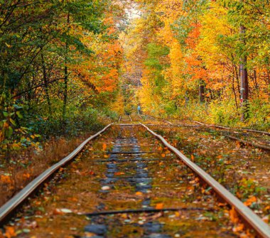 Eski bir tramvayın geçtiği sonbahar ormanı (Ukrayna)