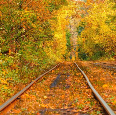 Eski bir tramvayın geçtiği sonbahar ormanı (Ukrayna)