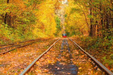 Eski bir tramvayın geçtiği sonbahar ormanı (Ukrayna)