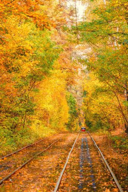 Eski bir tramvayın geçtiği sonbahar ormanı (Ukrayna)