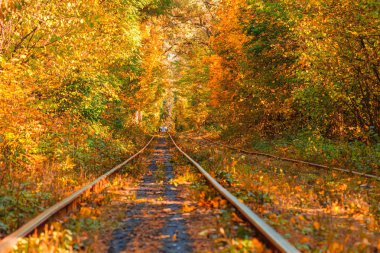 Eski bir tramvayın geçtiği sonbahar ormanı (Ukrayna)