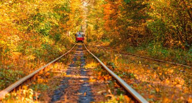 Eski bir tramvayın geçtiği sonbahar ormanı (Ukrayna)