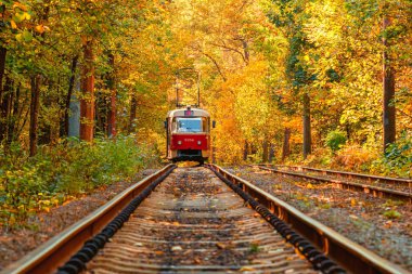 Eski bir tramvayın geçtiği sonbahar ormanı (Ukrayna)