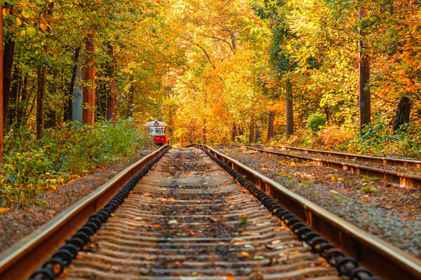 Autumn forest through which an old tram rides (Ukraine)