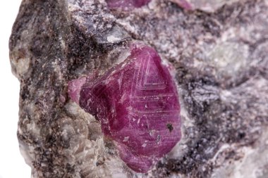 beyaz arkaplanda makro mineral taş yakutu