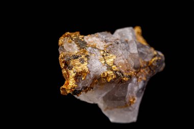 Siyah bir zemin üzerinde kayadaki makro mineral taş altınlar 