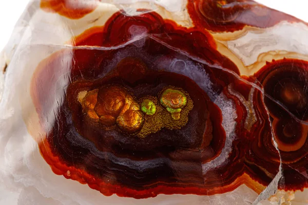 Macro mineral stone fire agate on a white background — Stock Photo, Image