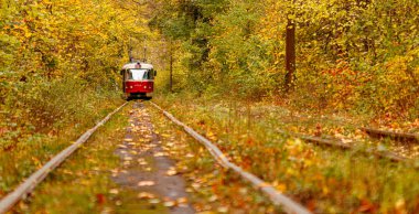 Eski bir tramvayın geçtiği sonbahar ormanı (Ukrayna)
